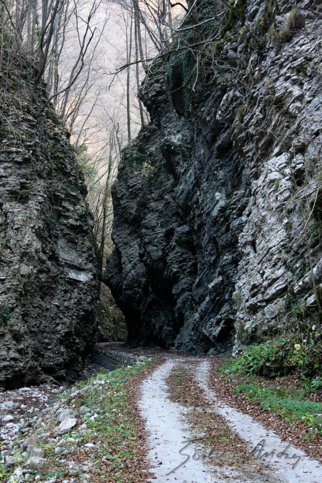 GM40_srecanje_2011_1