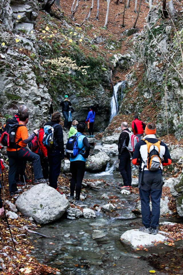 GM40_srecanje_2011_2