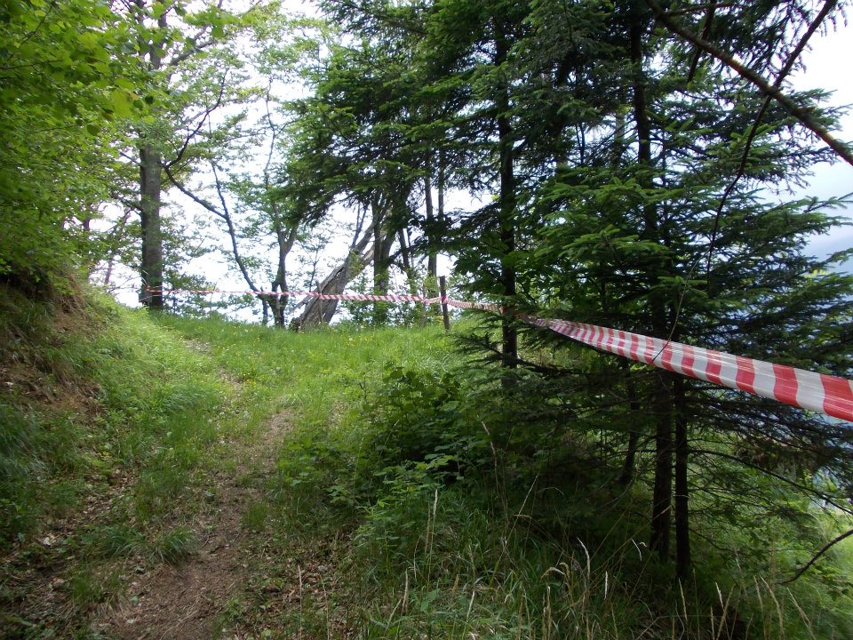 GM4O-stanje-proge-2012-05