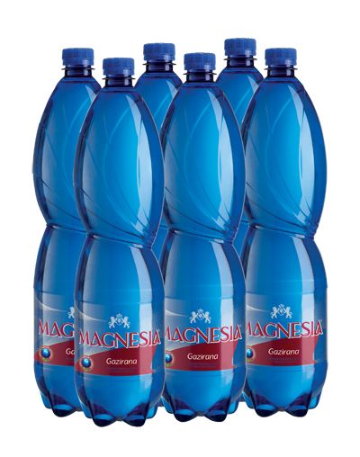 6xMagnesia gazirana 15L