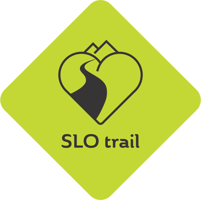 SLO100 logo